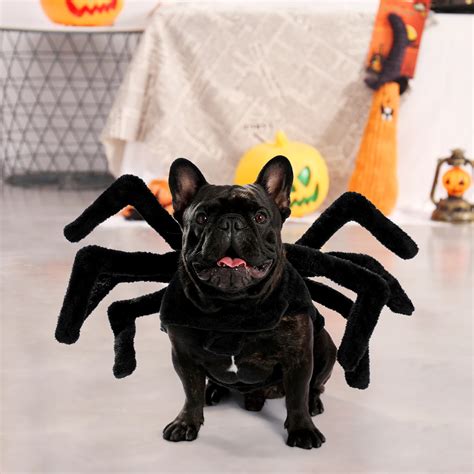 spider costume for dog|giant spider dog costume amazon.